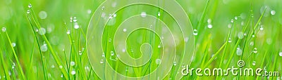 Banner - website header template - webdesign - webdevelopment Stock Photo