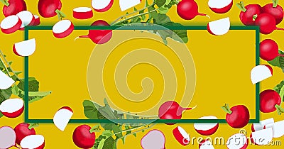 Banner with whole and sliced, half and quarter of radish. Cartoon style radish. Rectangular template. Vector Vector Illustration