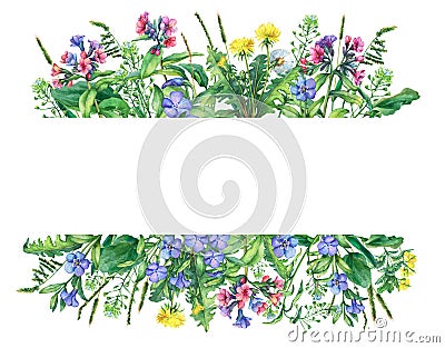 Banner with wild meadow flowers and grass, isolated on white background. Cartoon Illustration