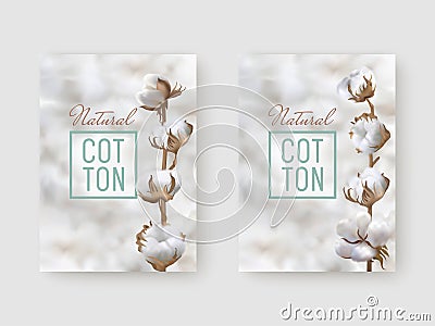 Banners with cotton branch Vector Illustration