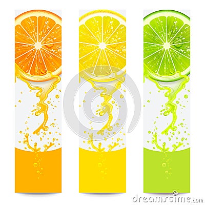 Banners with Fresh Citrus Fruit Vector Illustration