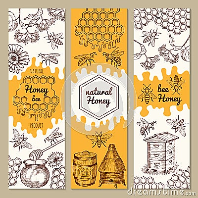 Banners with honey product pictures. Bee, honeycomb. Vector illustrations Vector Illustration