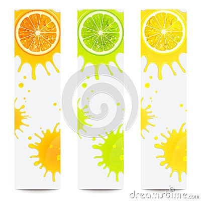 Banners with Juicy Citrus Fruits Vector Illustration