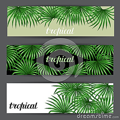 Banners with palms leaves. Decorative image tropical leaf of palm tree Livistona Rotundifolia. Image for holiday Vector Illustration