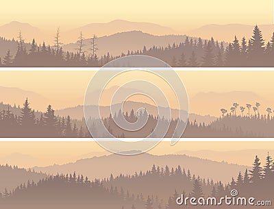 Banners of wild coniferous wood in morning fog. Vector Illustration