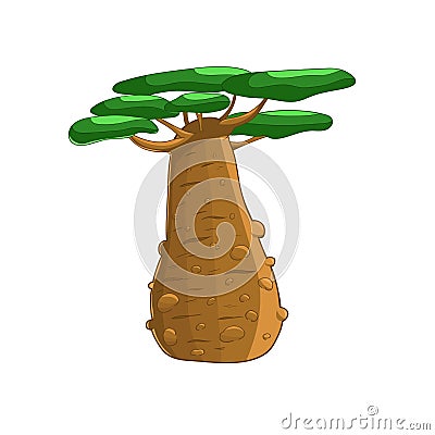 Baobab Realistic Simplified Drawing Vector Illustration