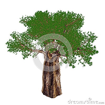 Baobab tree, adansonia digitata - 3D render Stock Photo