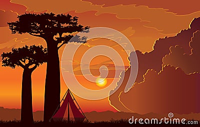 Baobab trees, backpacking tent, sunset sky Stock Photo
