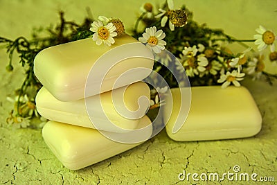 Bar of natural handmade soap and chamomile Stock Photo