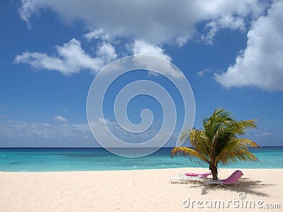 Barbados Beach Stock Photo