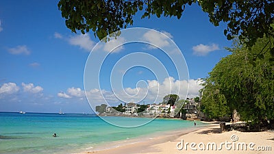 A Barbados, Caribbean nature scene Stock Photo