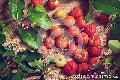 Barbados cherry on sack background Stock Photo