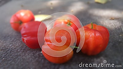 Barbados Cherry Stock Photo