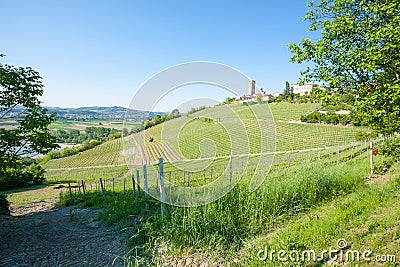 Barbaresco town view, Langhe, Italy Stock Photo
