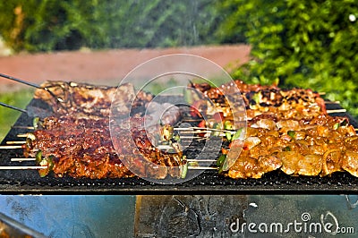 Barbecue Stock Photo