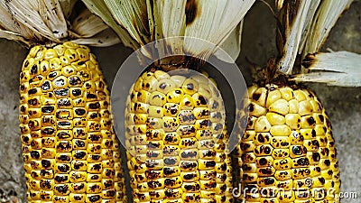 Barbecue, Corn grill, macro, bbq America, Picnic, Labor Day, Thanksgiving Stock Photo