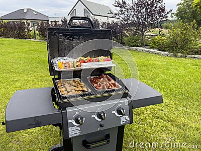 Barbecue in an elegant backyard of a modern house Editorial Stock Photo