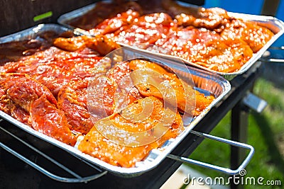 Barbecue garden grill with selection of fresh meat Stock Photo