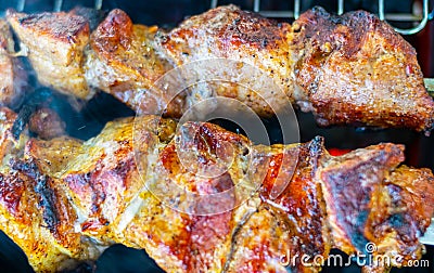 Barbecue on the grill in the coniferous forest. Shish kebab shish kebab. Picnic in the woods on the river bank close-up Stock Photo