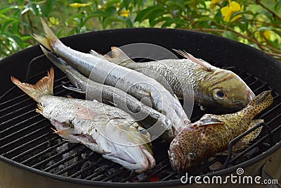 Barbecue grill with sea fishes, very light seasoning for a natural and healthy meal, close-up picture. Stock Photo