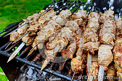 Barbecue skewers meat kebabs with grill Stock Photo