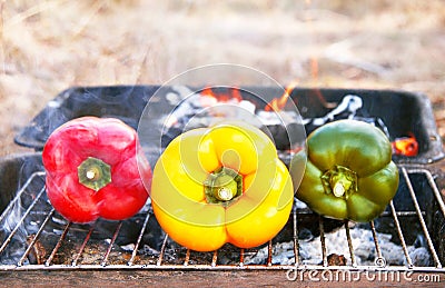 Barbecue vegetables (peppers, paprika) on the grill. Stock Photo