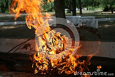 Barbecue in the woods. Fire, firewood Stock Photo