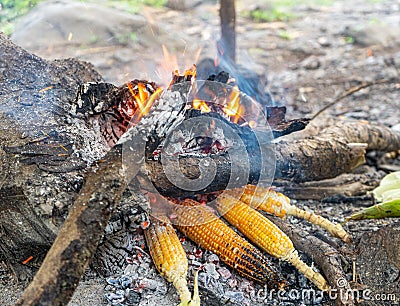 Barbecued Sweet Corn Stock Photo