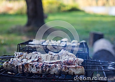 Barbecues in the woods Stock Photo