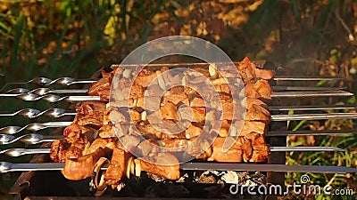 Barbecuevlees bij de grill stock videobeelden Barbecuevlees bij de grill stock videobeelden