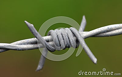 Barbed wire Stock Photo