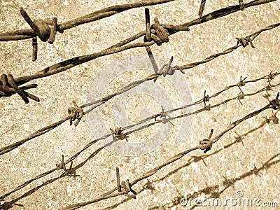 Barbed wire Editorial Stock Photo