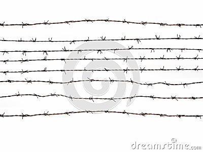 Barbed Wire Stock Photo