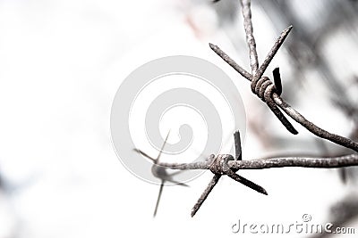 Barbed wire Stock Photo