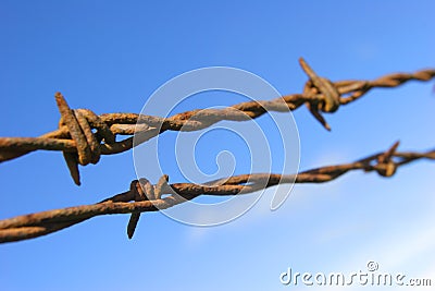 Barbed Wire Stock Photo