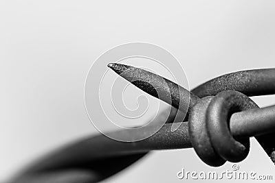 Barbed wire abstract macro Stock Photo