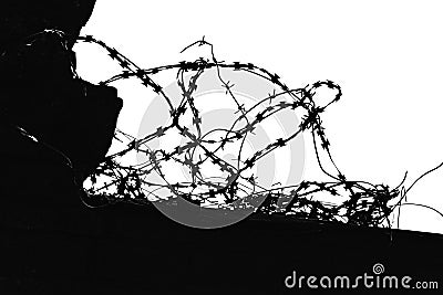 Barbed wire against white background. silhouette barbwire. imprisonment. jail Stock Photo