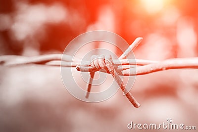 Barbed wire close up Stock Photo