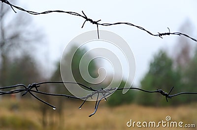 Barbed wire in exclusion zone of Chernobyl NPP, dismal autumn landscape, Ukraine Stock Photo