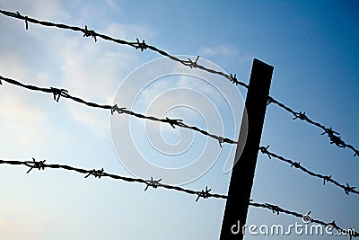 Barbed wire fence Stock Photo