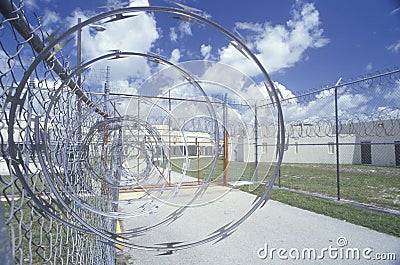 Barbed wire fence Editorial Stock Photo