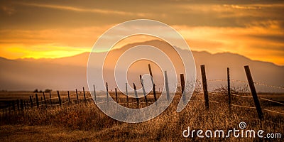 Barbed Wire Fence in the Countryside Stock Photo