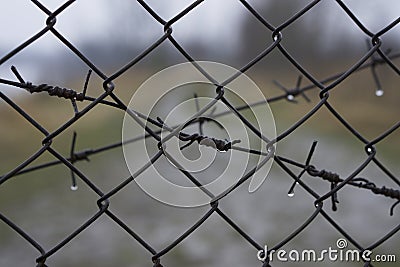 Barbed wire fence over background of blurred way to freedom Stock Photo