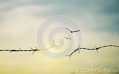 Barbed wire fence with sunset Twilight sky. Broke spike change transform to bird boundary concept for human rights slave prison Stock Photo