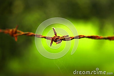 Barbed wire fencing with farmland behind it Stock Photo