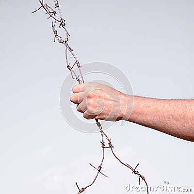 Barbed wire Stock Photo