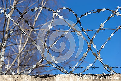 Barbed wire against the blue sky. Stock Photo