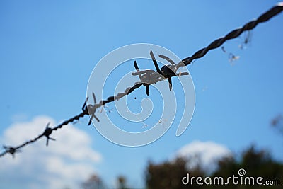 Barbed wire prominent in the picture, restricted area, no entry, shows a boundary. Stock Photo