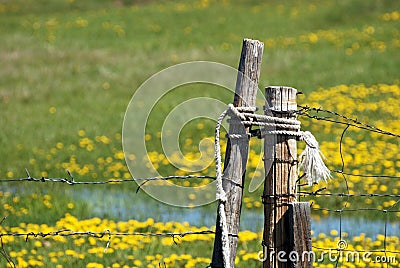 Barbed Wire Ranch Gate Stock Photo