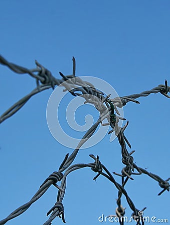 Barbed Wire Security Fence Stock Photo